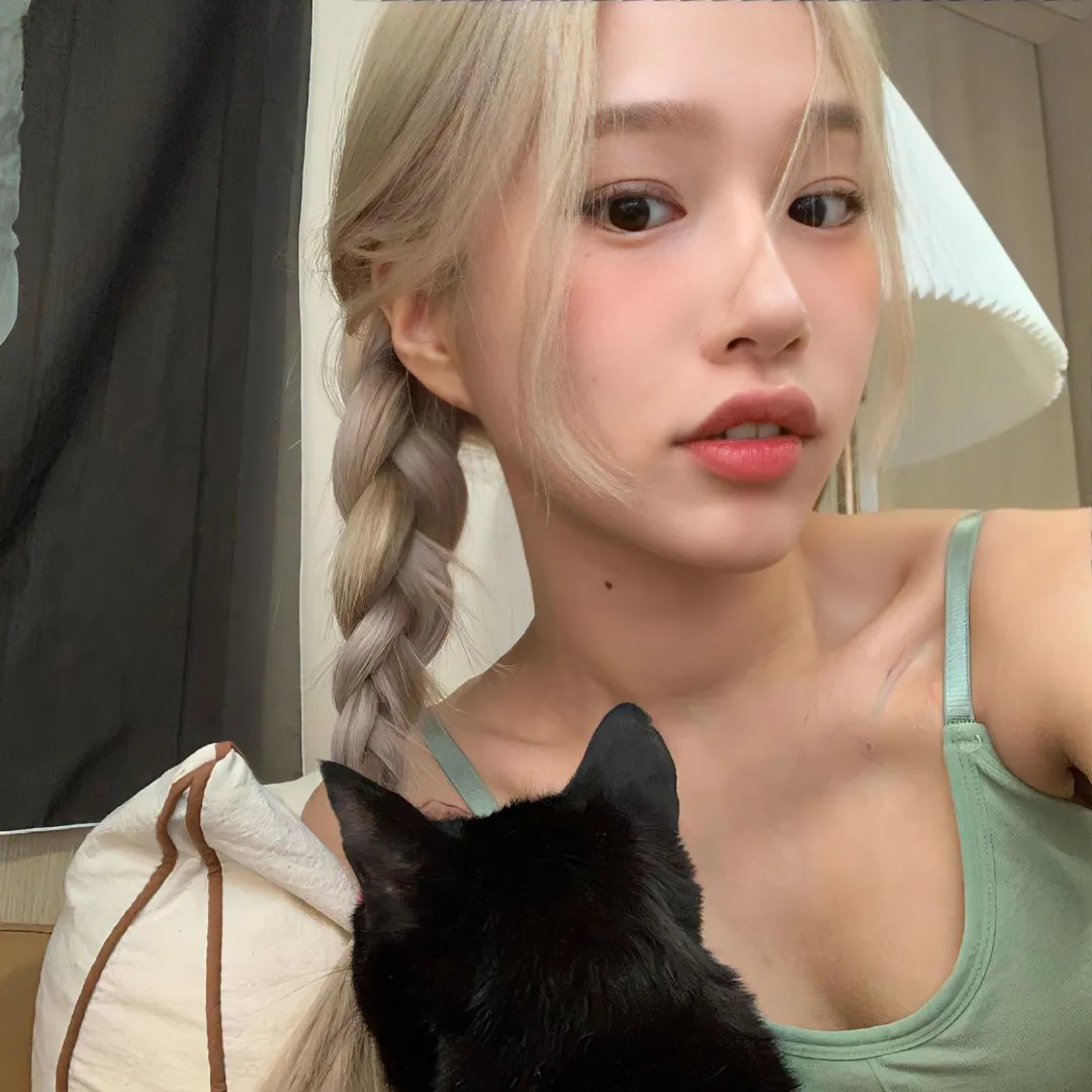 爱的猎犬